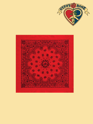 Austin Paisley Bandana