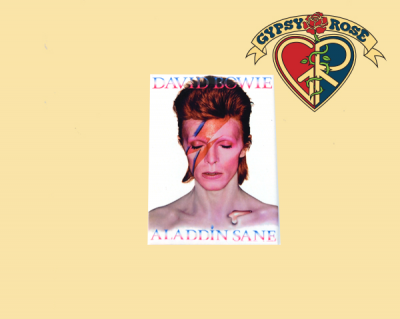 David Bowie Aladdin Sane Magnet