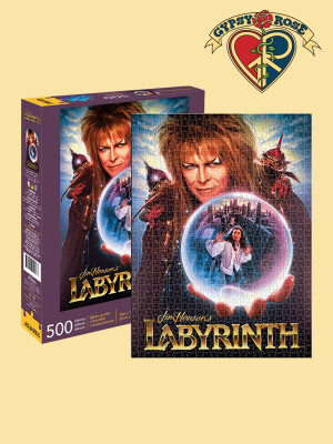 Labyrinth Puzzle