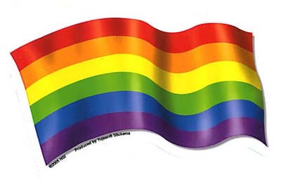 PRIDE RAINBOW FLAG WINDOW STICKER