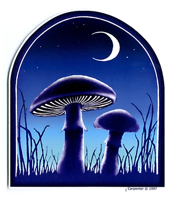 2 MUSHROOMS UNDER THE MOON STICKER
