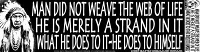 MAN DID NOT WEAVE THE WEB OF LIFE.... BUMPER STICKER