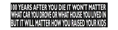 100 YEARS AFTER... BUMPER STICKER