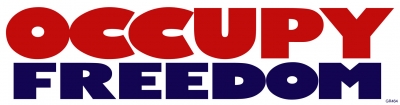 OCCUPY FREEDOM BUMPER STICKER