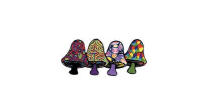 SINGLE ASSORTED MUSHROOM PATCH