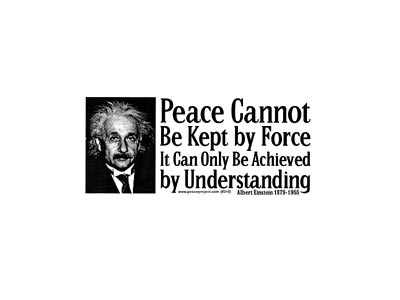 PEACE CANNOT BE KEPT BY FORCE... EINSTEIN QUOTE BUMPER STICKER