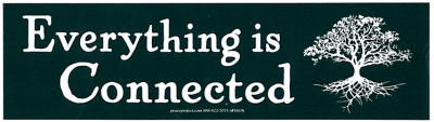 EVERYTHING IS CONNECTED STICKER