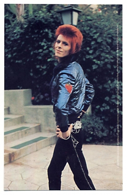 David Bowie Poise Profile Strut Sticker