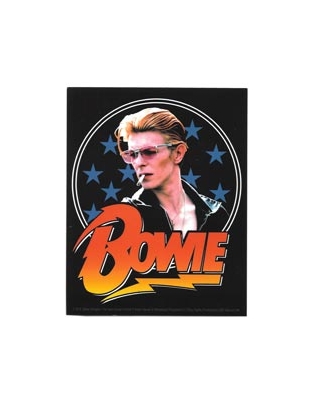 Bowie Face & Lightning Bolt Sticker