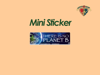 There Is No Planet B Sticker