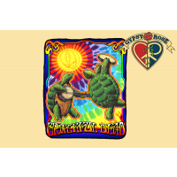 GRATEFUL DEAD TERRAPIN SUNSHINE THROW