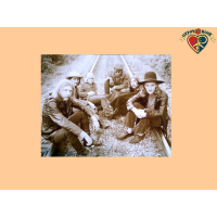 Allman Brothers On Tracks Mini Poster