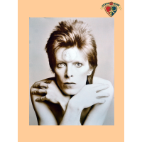 Ziggy Stardust A Mini Poster