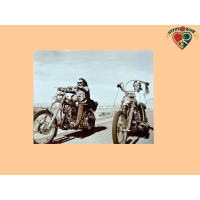 Easy Rider Mini Poster