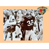Immaculate Reception Mini Poster