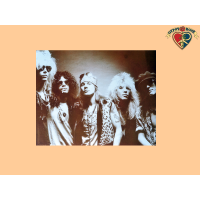 Guns N Roses Mini Poster