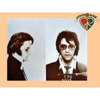 Elvis Mugshot Mini Poster