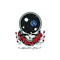 GRATEFUL DEAD SPACE YOUR FACE STICKER