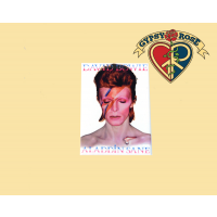 David Bowie Aladdin Sane Magnet
