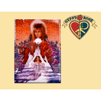 Labyrinth Magnet