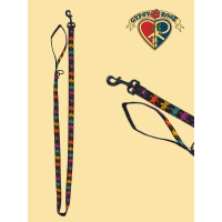 Grateful Dead Dancing Bear Leash 1 Inch Wide