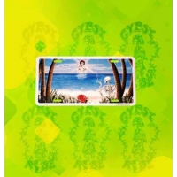 SUNSHINE DAYDREAM GRATEFUL DEAD LICENSE PLATE
