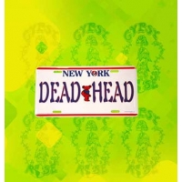NEW YORK DEAD HEAD LICENSE PLATE