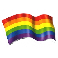 PRIDE RAINBOW FLAG WINDOW STICKER