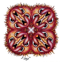 KALEIDO SUN STICKER