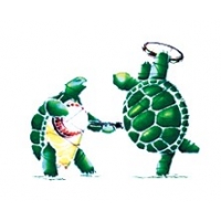 GRATEFUL DEAD JAMMIN' TURTLES WINDOW STICKER