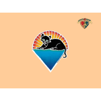 Kitten Under Sun Sticker