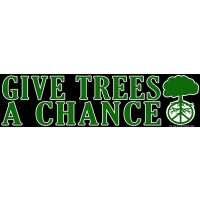 GIVE TREES A CHANCE BUMPER STICKER