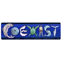 COEXIST SEA LIFE STICKER