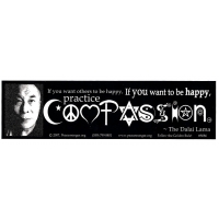 PRACTICE COMPASSION DALAI LAMA BUMPER STICKER