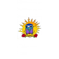 PEACE VW MICROBUS IN SUN STICKER