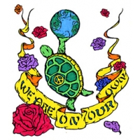 TURTLE EARTH WE ARE ON OUR OWN STICKER
