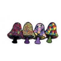 SINGLE ASSORTED MUSHROOM PATCH