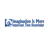 IMAGINATION IS MORE IMPORTANT THAN KNOWLEDGE - EINSTEIN BUMPER STICKER