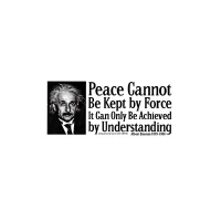 PEACE CANNOT BE KEPT BY FORCE... EINSTEIN QUOTE BUMPER STICKER