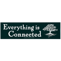 EVERYTHING IS CONNECTED STICKER