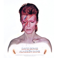 David Bowie Alladin Sane Sticker