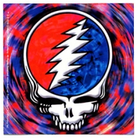 Grateful Dead Steal Your Face Spinning Sticker
