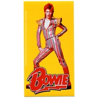ORANGE HAIR BOWIE STICKER