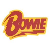 Bowie Lightning Bolt Sticker