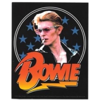 Bowie Face & Lightning Bolt Sticker