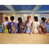Pf Back Sticker
