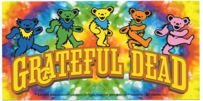 Bear On Tye Dye Sticker